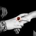Fotogalerie - Tři sestry a jeden prsten - foto 15